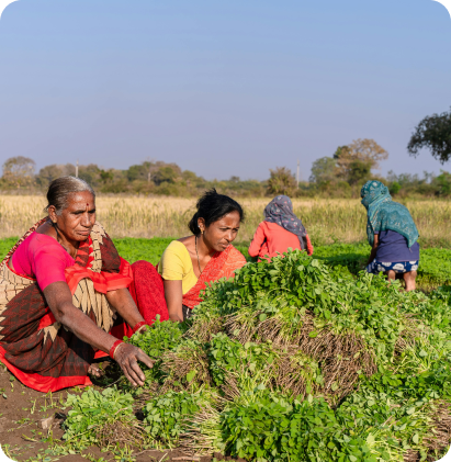 Agriculture
Management